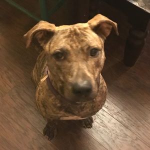 Meet your Posher, Kylee